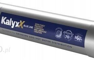 Zmiękczacz wody Ips Kalyxx BlueLine - G 3/4"
